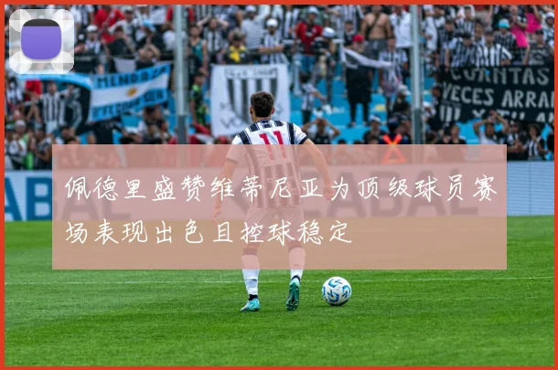 佩德里盛赞维蒂尼亚为顶级球员赛场表现出色且控球稳定